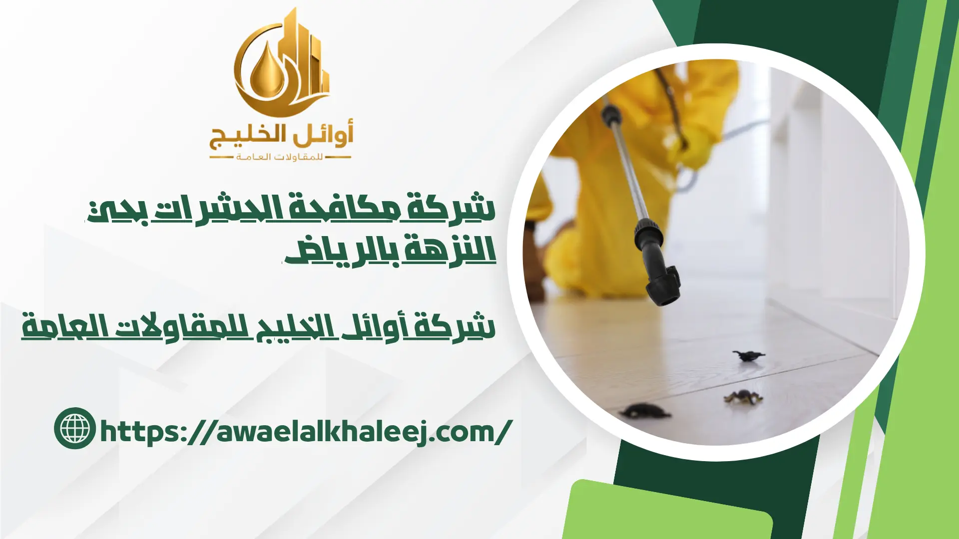 اضمن شركة مكافحة الحشرات بحي النزهة بالرياض